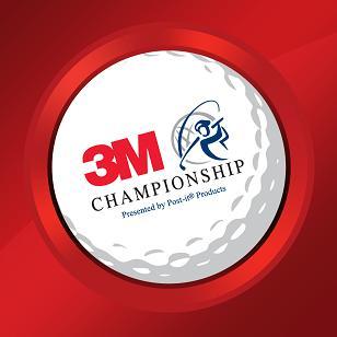 3M Championship 2013 
